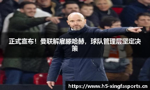 兴发体育