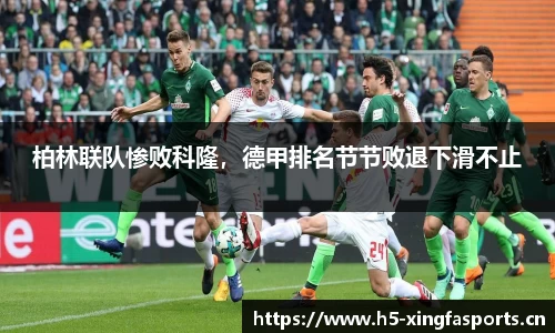 兴发体育