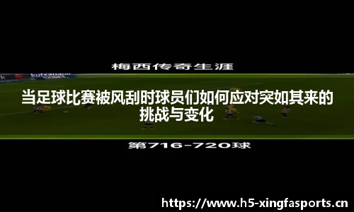 兴发体育官网