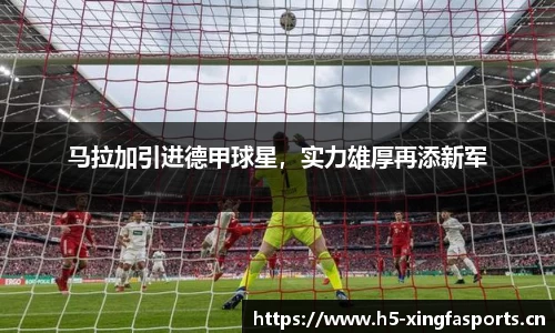 兴发体育官网