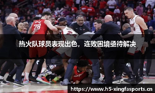 兴发体育官网