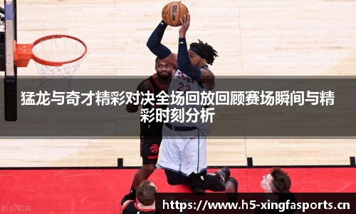 兴发体育平台