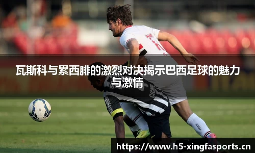 兴发体育官网