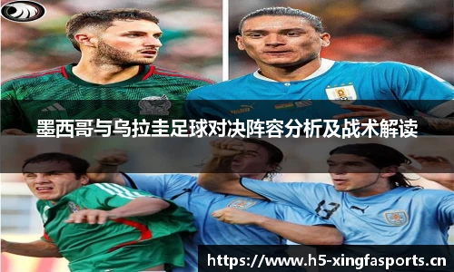 兴发体育官网
